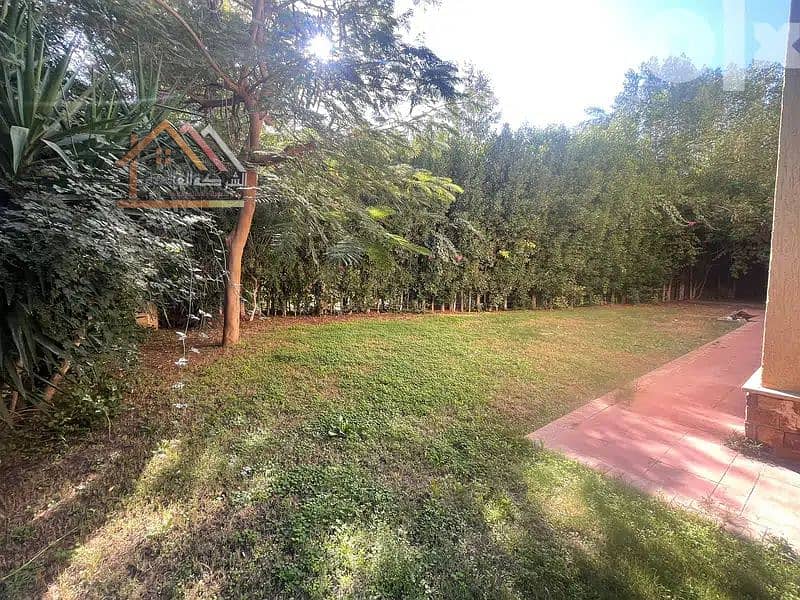 4 45765694-800x600. jpg