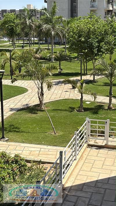 3 Bedroom Flat for Sale in Madinaty, Cairo - WhatsApp Image 2026-10-08 at 2.54. 43 PM (2). jpeg