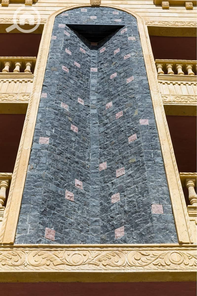 3 1000048127. jpg