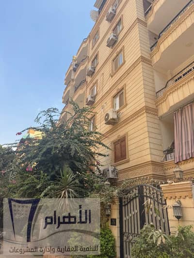 شقة 3 غرف نوم للبيع في حدائق الاهرام، الجيزة - 837889504_4138483066460653_1884822609400807216_n (2). jpeg شقة 3 غرف نوم للبيع في حدائق الاهرام، الجيزة - 837889504_4138483066460653_1884822609400807216_n (2). jpeg