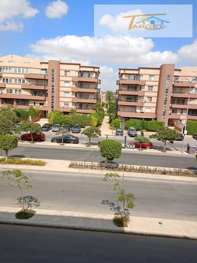 3 Bedroom Apartment for Rent in New Cairo, Cairo - d629287b-ed63-45ea-a5dd-8315d138c1f0. jpg 3 Bedroom Apartment for Rent in New Cairo, Cairo - d629287b-ed63-45ea-a5dd-8315d138c1f0. jpg