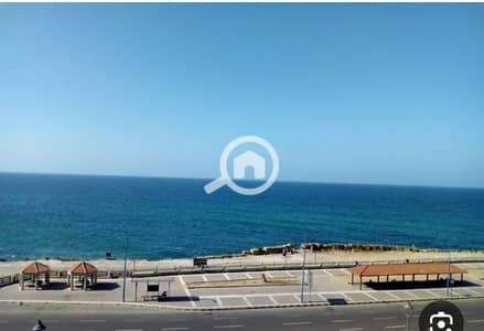 محلات تجارية للايجار في لوران، الإسكندرية - 1000389351. jpg محلات تجارية للايجار في لوران، الإسكندرية - 1000389351. jpg