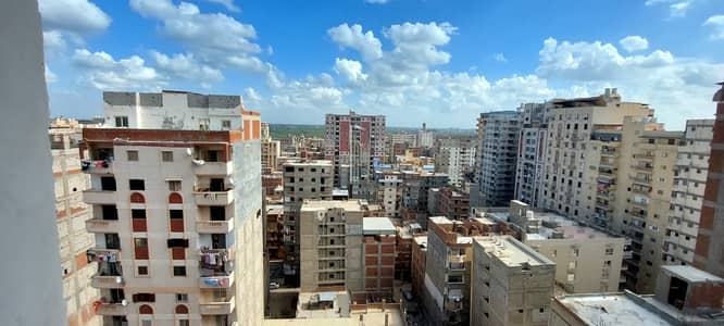 3 Bedroom Flat for Sale in Montazah, Alexandria - WhatsApp Image 2026-09-29 at 7.38. 54 PM (2). jpeg
