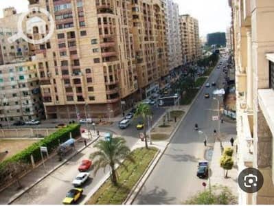 فلیٹ 3 غرف نوم للايجار في سموحة، الإسكندرية - 1000389364. jpg