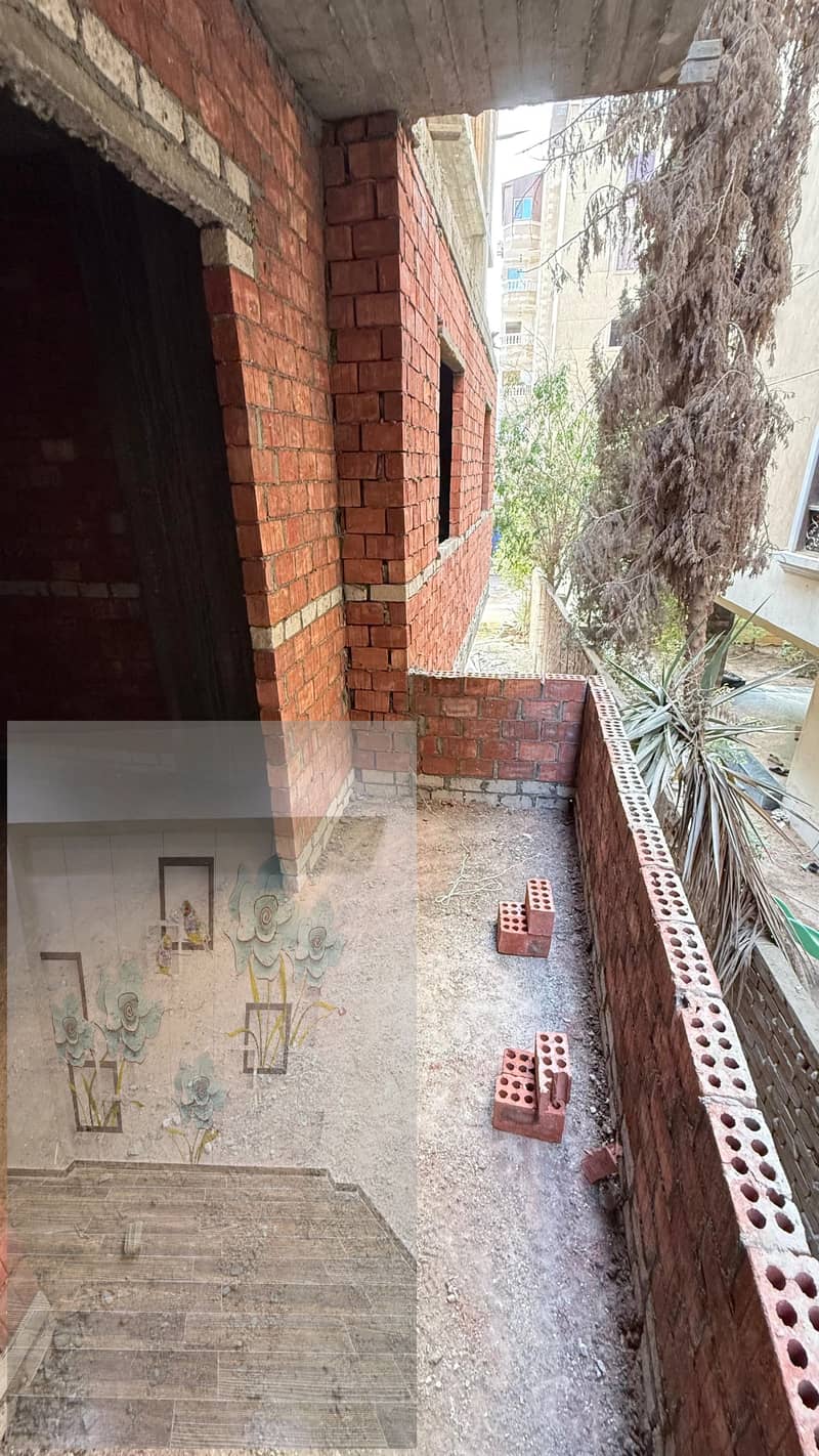 8 1002025137. jpg