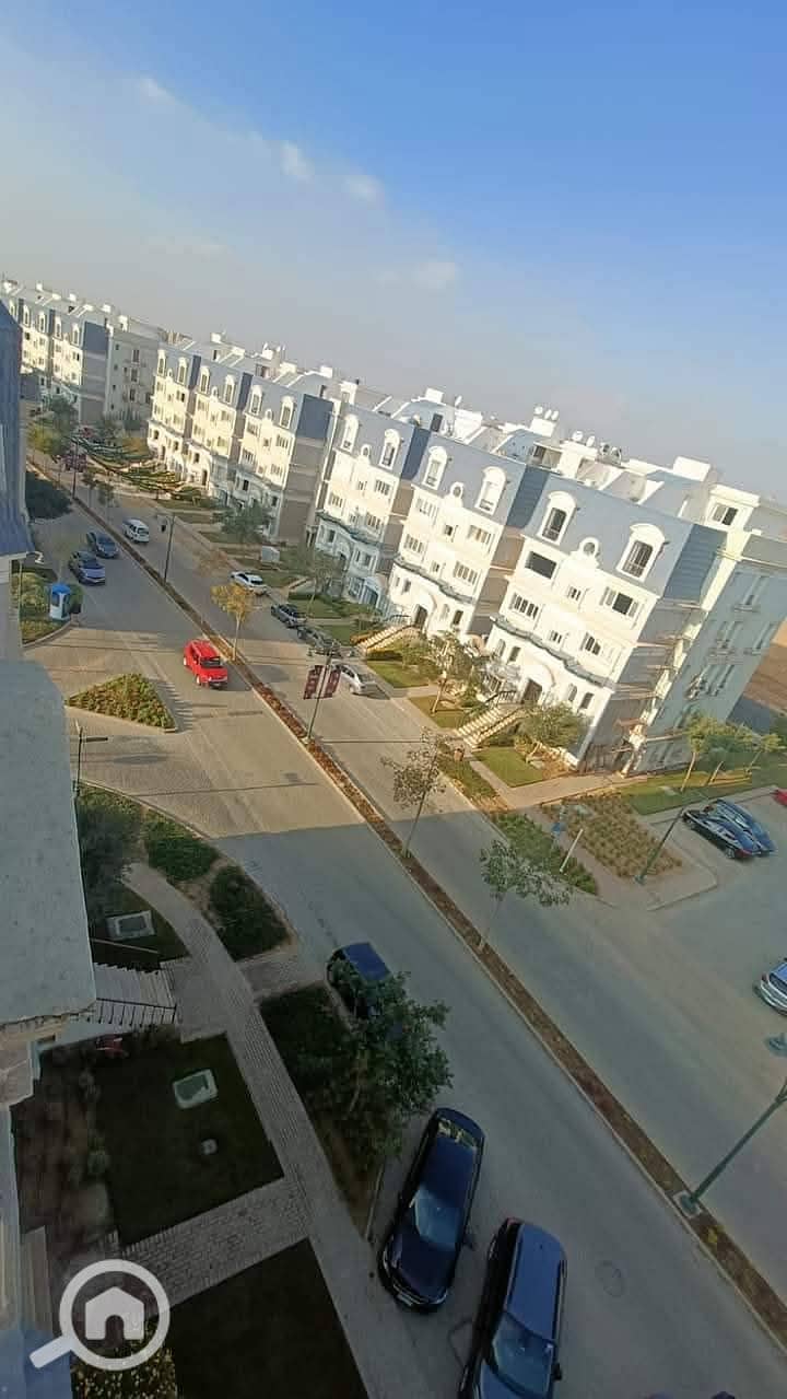 17 249396. jpg