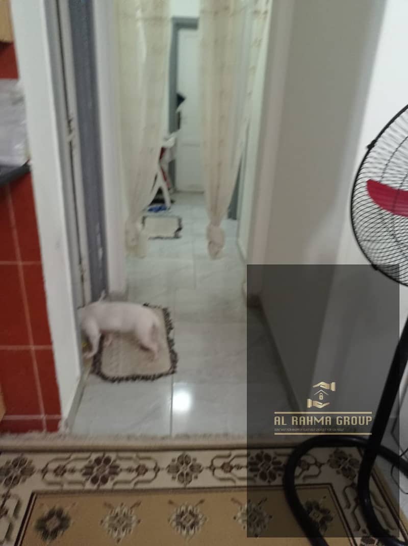 10 WhatsApp Image 2026-10-08 at 18.16. 42 (3). jpeg