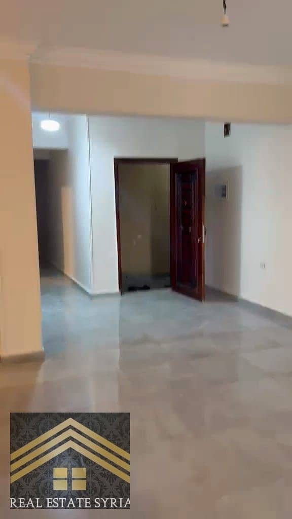 15 1000566393. jpg