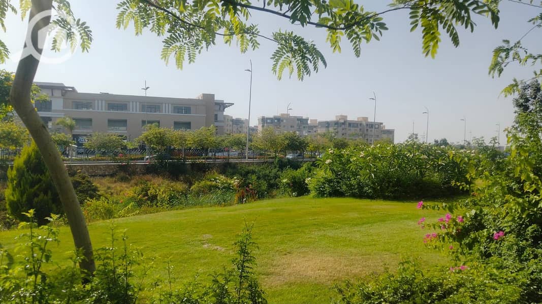 WhatsApp Image 2026-10-05 at 3.41. 52 PM. jpeg WhatsApp Image 2026-10-05 at 3.41. 52 PM. jpeg