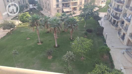 3 Bedroom Flat for Rent in New Cairo, Cairo - WhatsApp Image 2026-10-06 at 3.42. 29 PM. jpeg