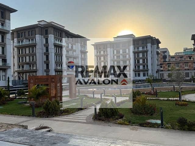 3 images (1). jpg