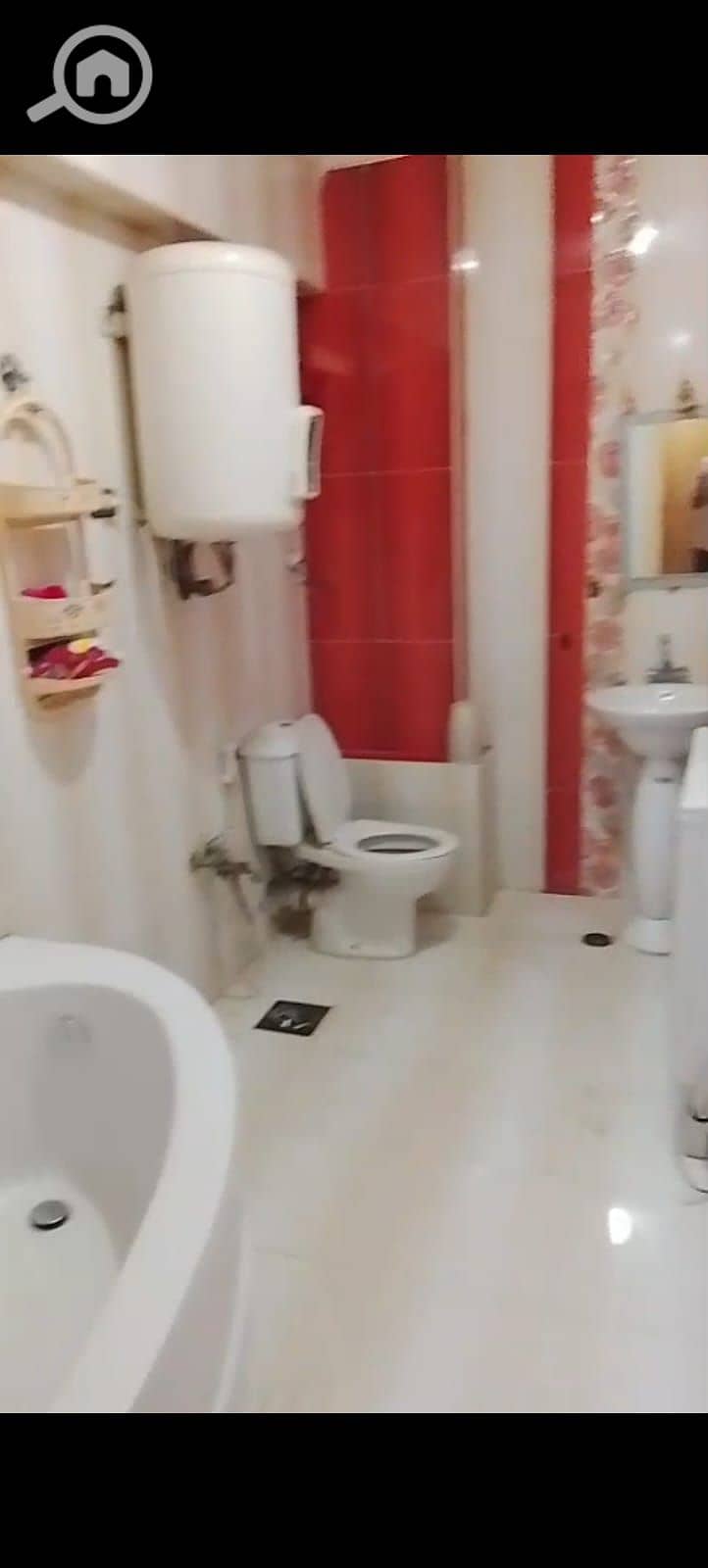 12 8. jpg