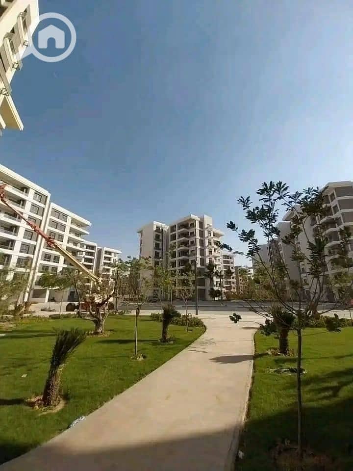 5 1000693636. jpg
