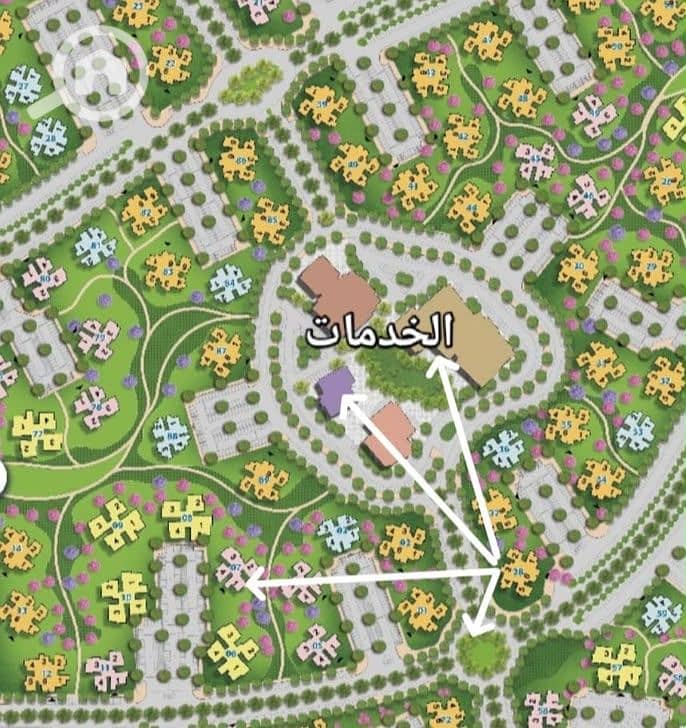 12 1000693645. jpg