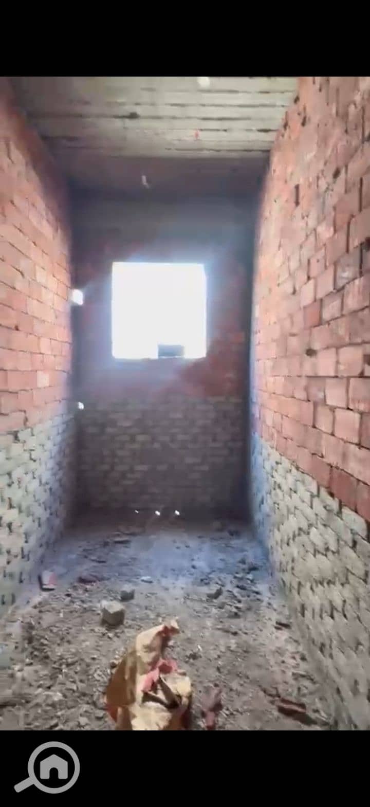 5 223998. jpg