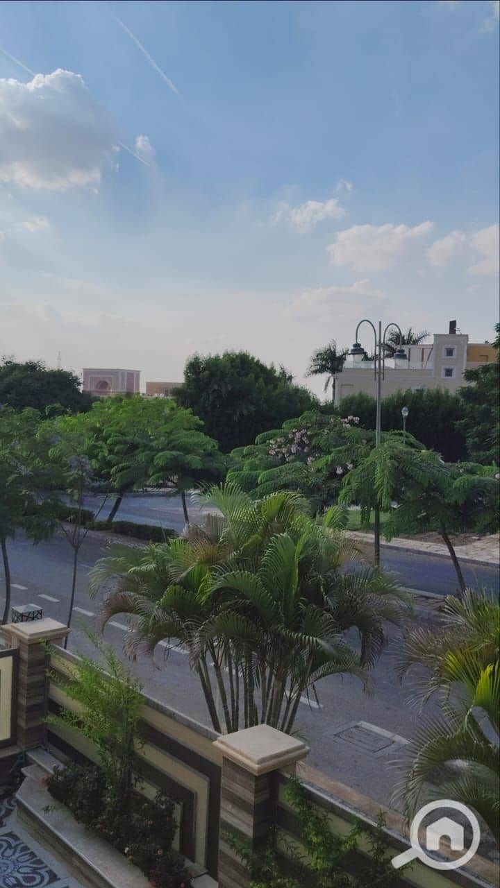 5 188389. jpg