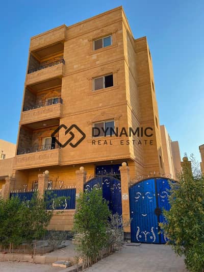 تاون هاوس 10+ غرف نوم للبيع في مدينة الشروق، القاهرة - bf593e79-3b61-4488-ad03-893a4bcd4b4c. jpeg تاون هاوس 10+ غرف نوم للبيع في مدينة الشروق، القاهرة - bf593e79-3b61-4488-ad03-893a4bcd4b4c. jpeg