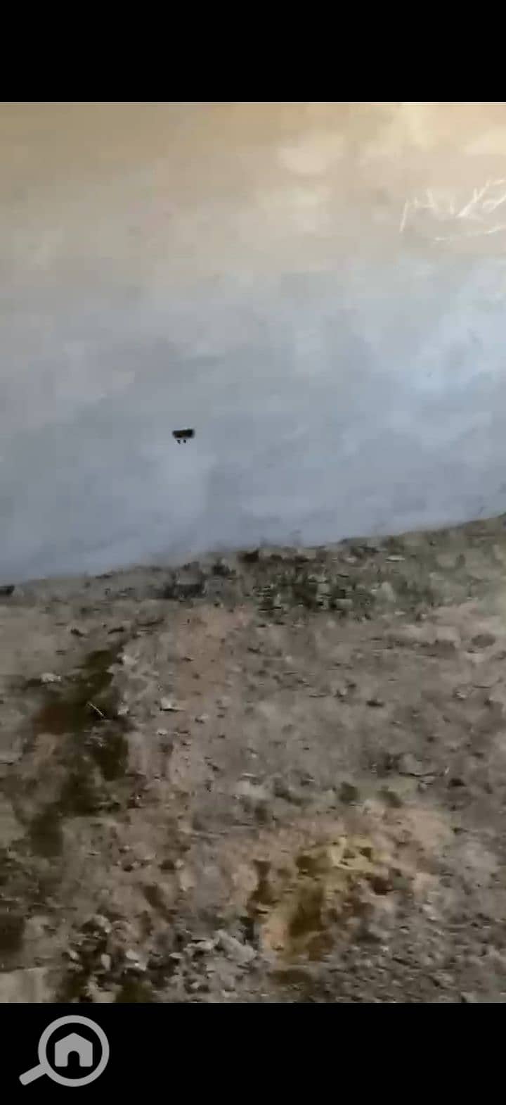7 224839. jpg
