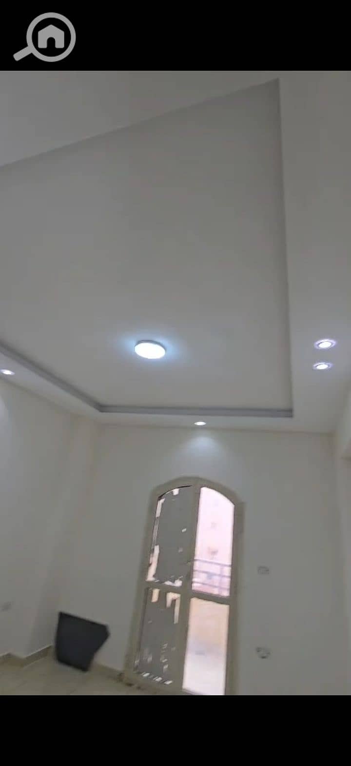 4 224864. jpg