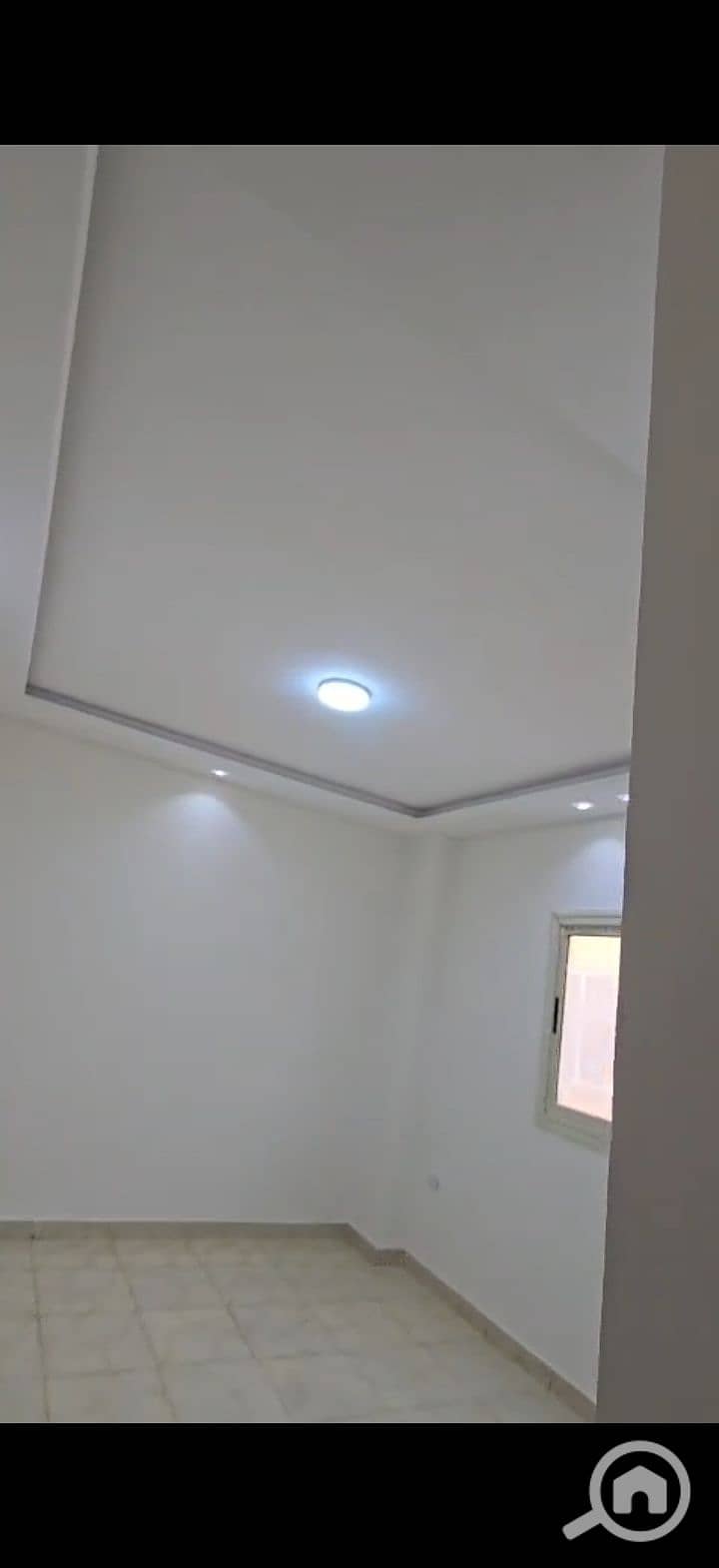 6 224867. jpg