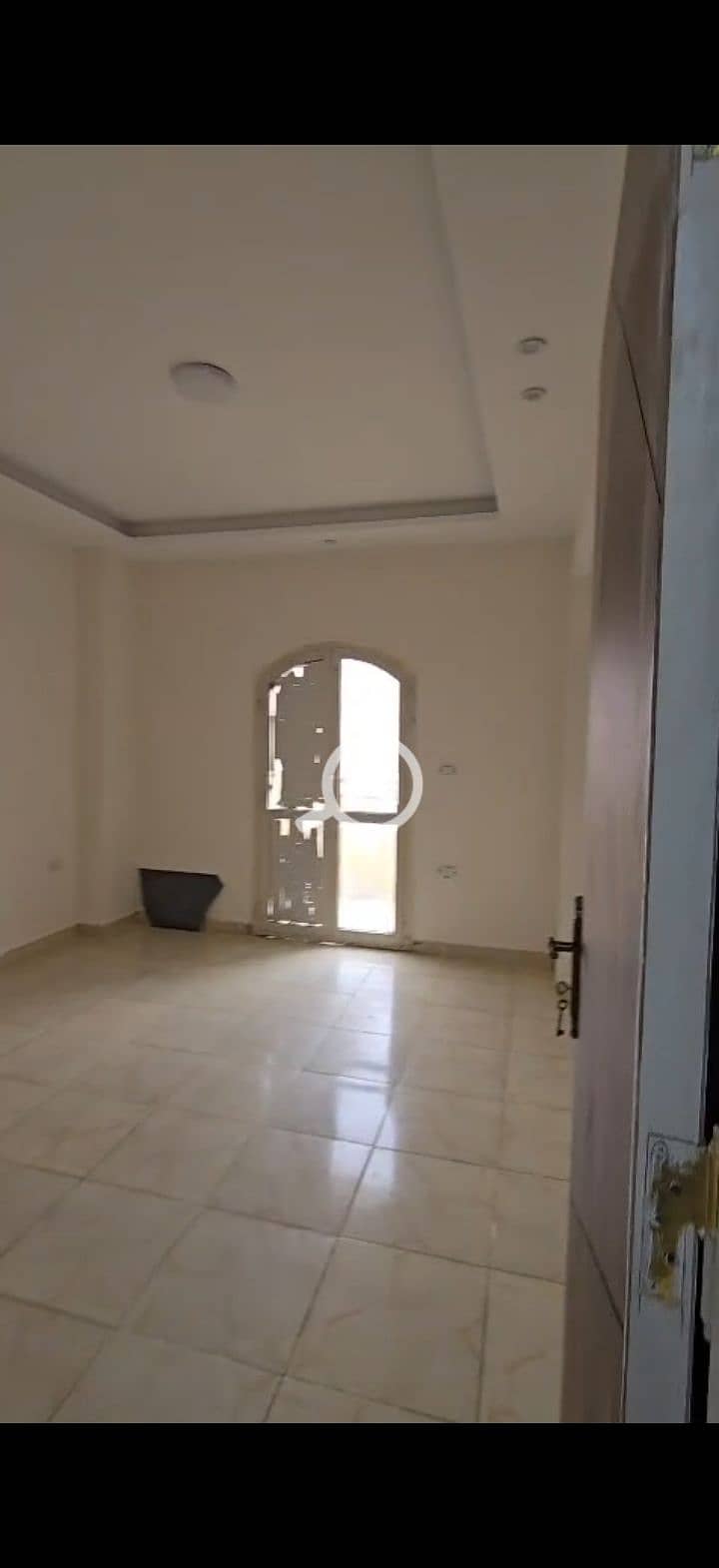 7 224862. jpg