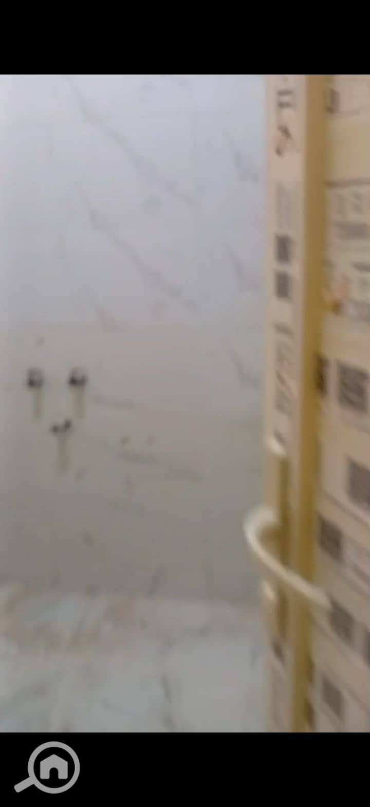 7 224884. jpg
