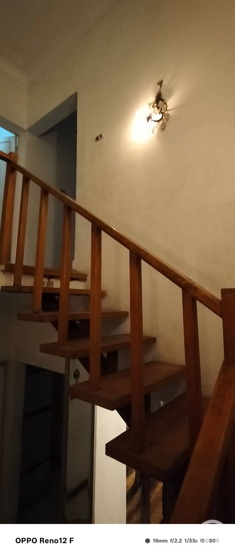 7 1000331987. jpg
