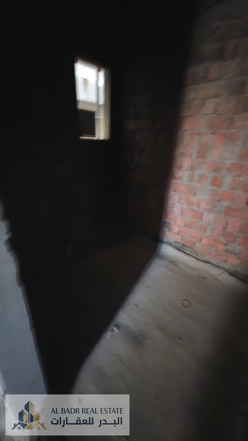 10 1000081524. jpg