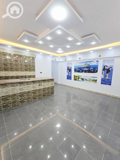 2 Bedroom Apartment for Sale in Nakheel, Alexandria - 1000525680. jpg 2 Bedroom Apartment for Sale in Nakheel, Alexandria - 1000525680. jpg