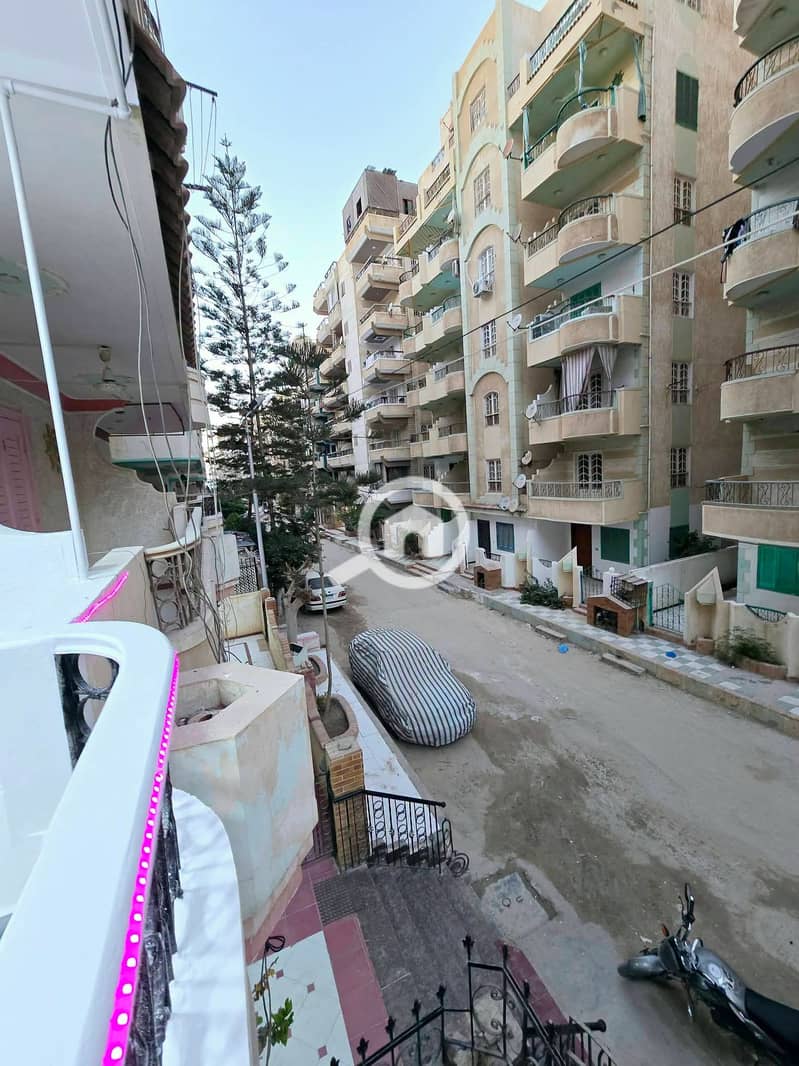 3 1000525612. jpg
