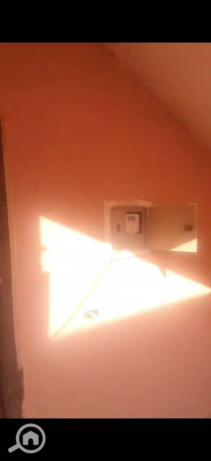 2 225136. jpg