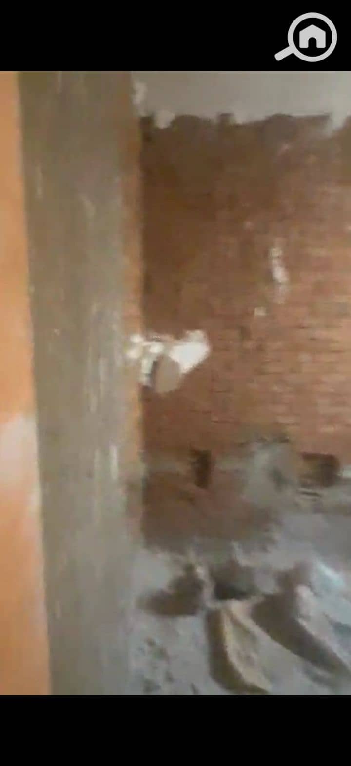 5 225131. jpg