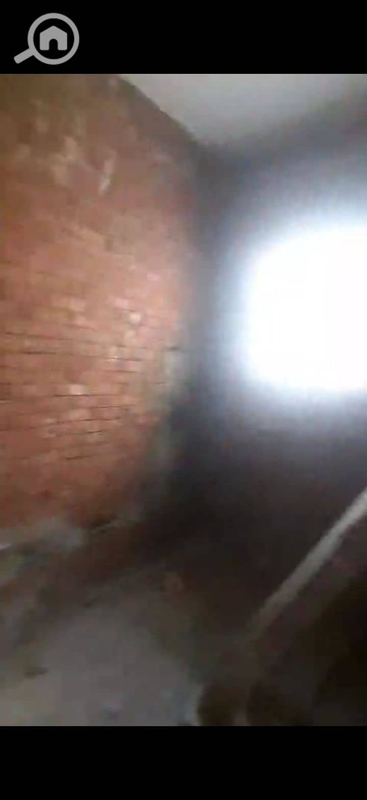 6 225132. jpg