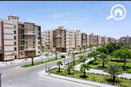 شقة 3 غرف نوم للايجار في مدينة الشروق، القاهرة - 225247. jpg شقة 3 غرف نوم للايجار في مدينة الشروق، القاهرة - 225247. jpg
