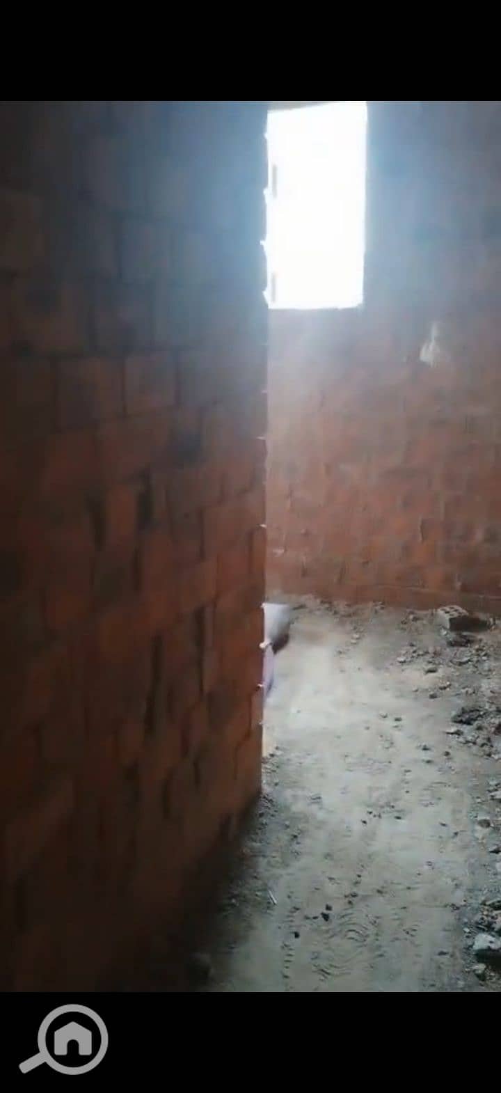 4 225262. jpg