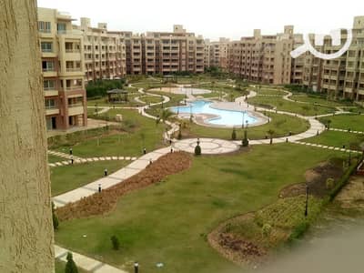 3 Bedroom Flat for Rent in 6th of October, Giza - 78707659_685893335270944_7212377162416914432_n. jpg