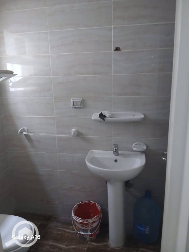 8 542756. jpg