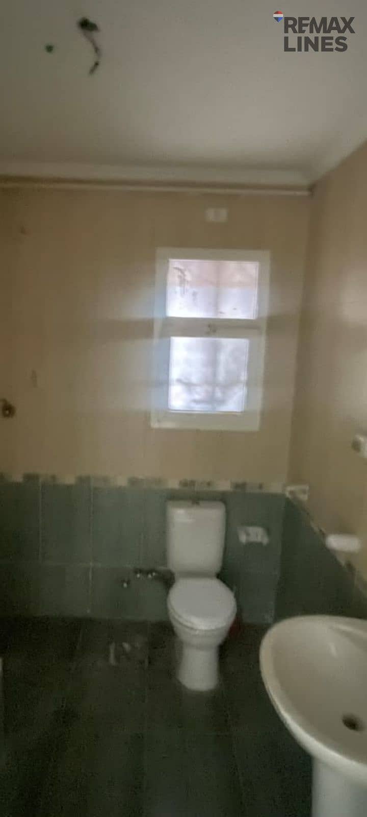 10 1000820442. png