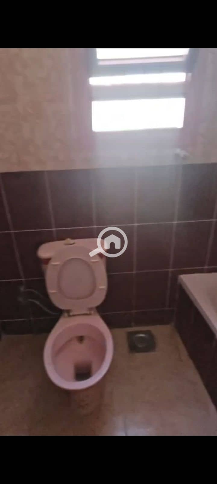 3 1000974452. jpg