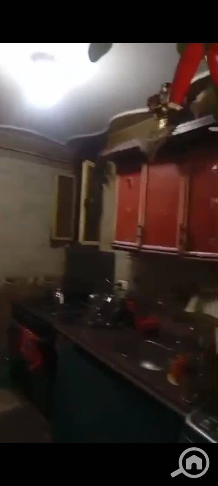 7 1000974480. jpg