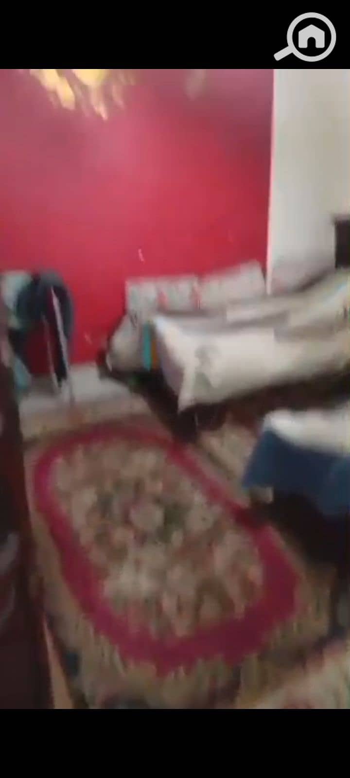 9 1000974484. jpg