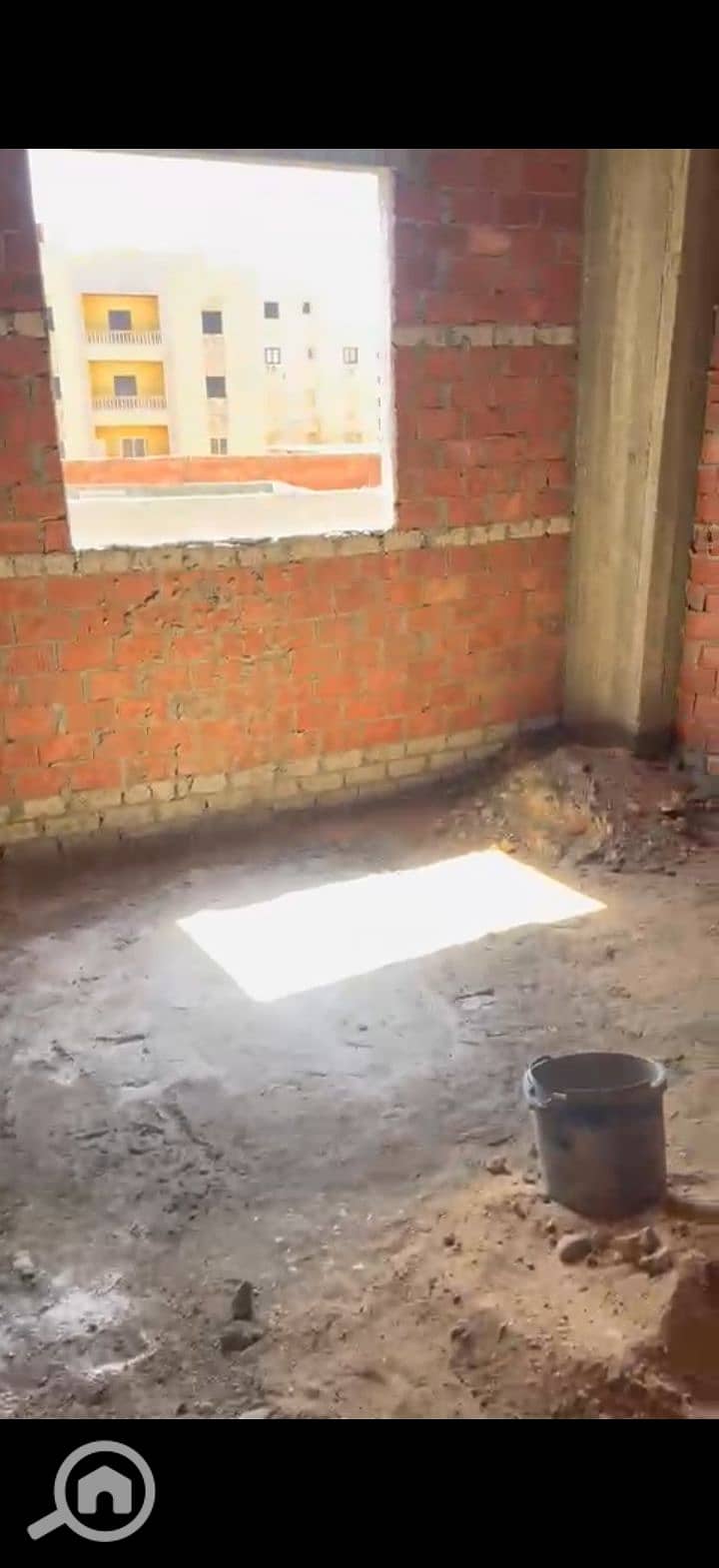 6 225486. jpg
