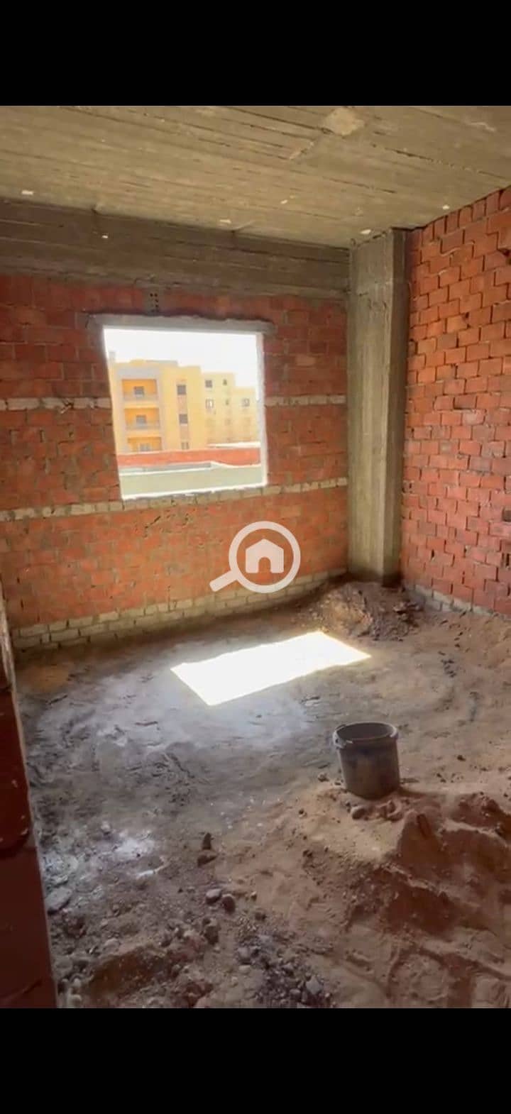 8 225487. jpg
