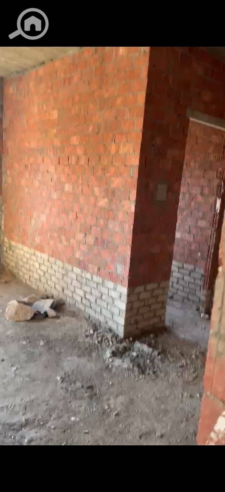 20 225477. jpg