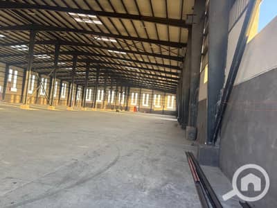 Factory for Rent in 10th of Ramadan, Sharqia - 1000611084. jpg