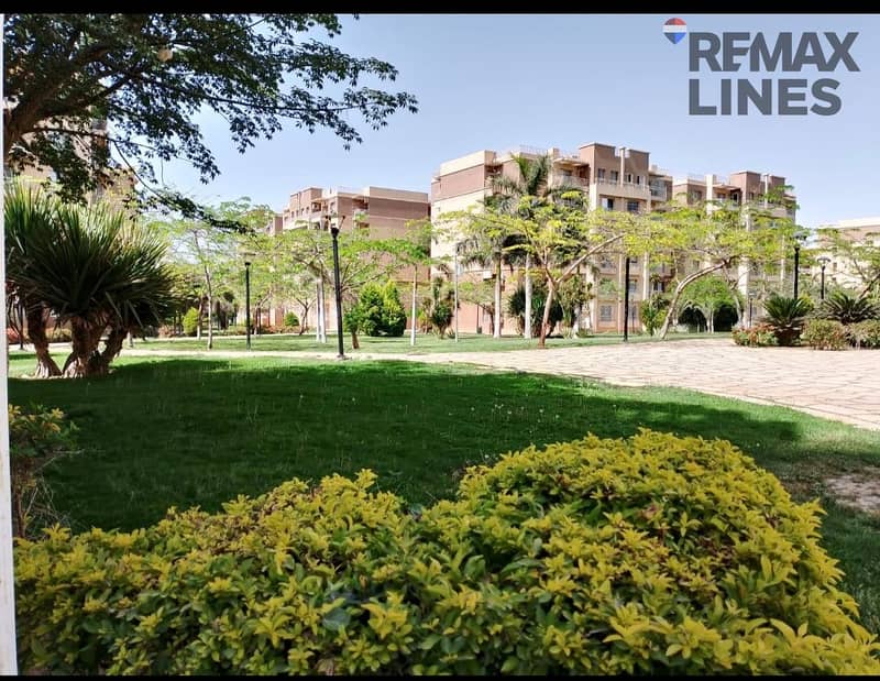 2 1000263784. jpg