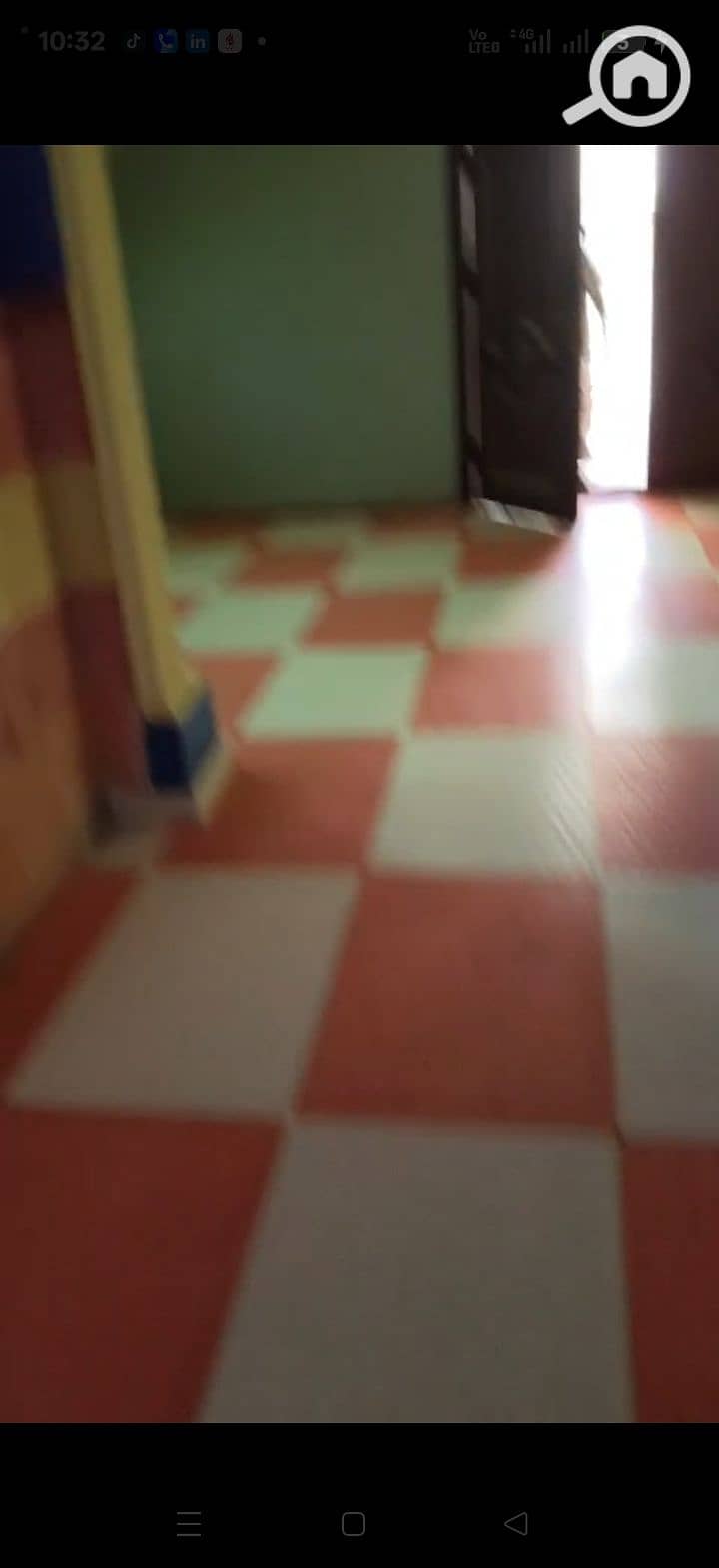 5 225613. jpg