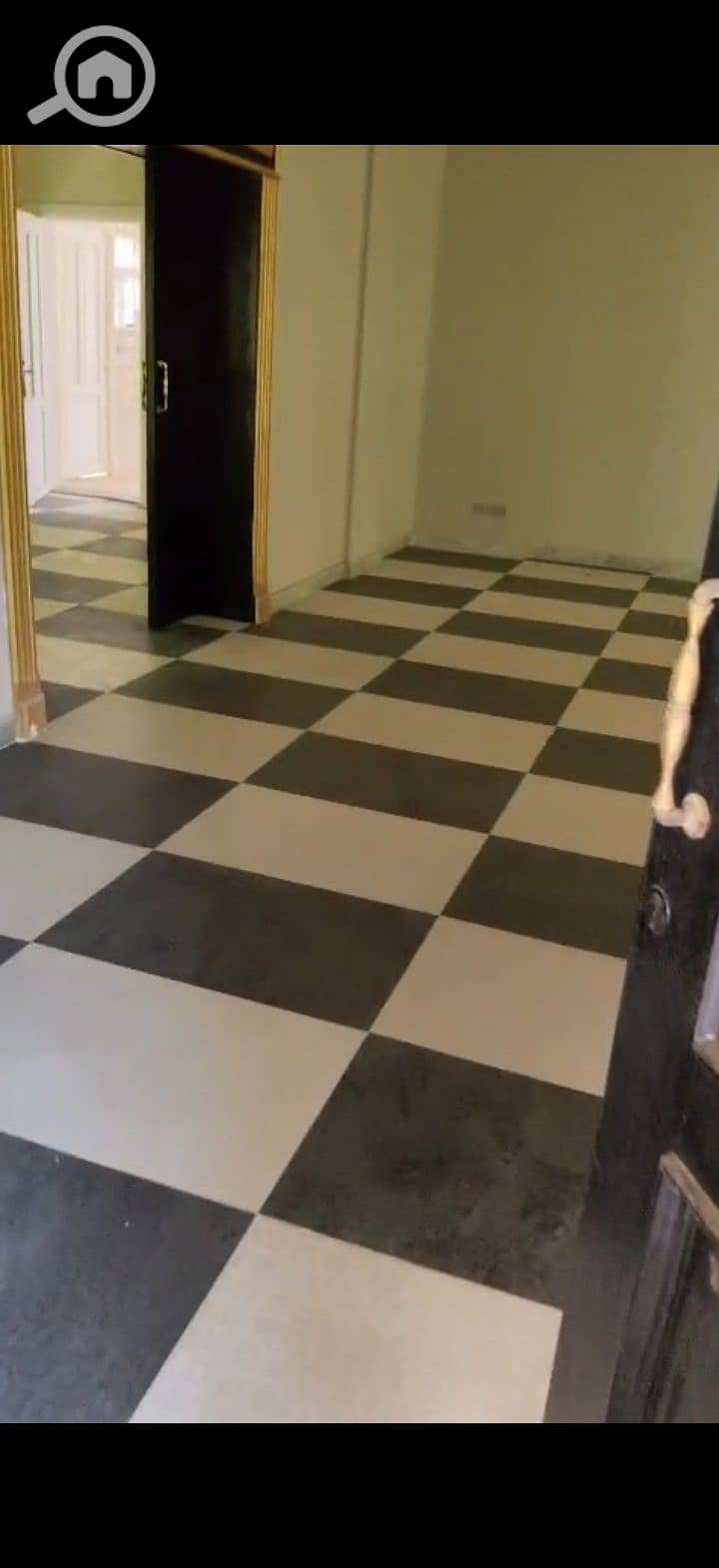 6 225610. jpg