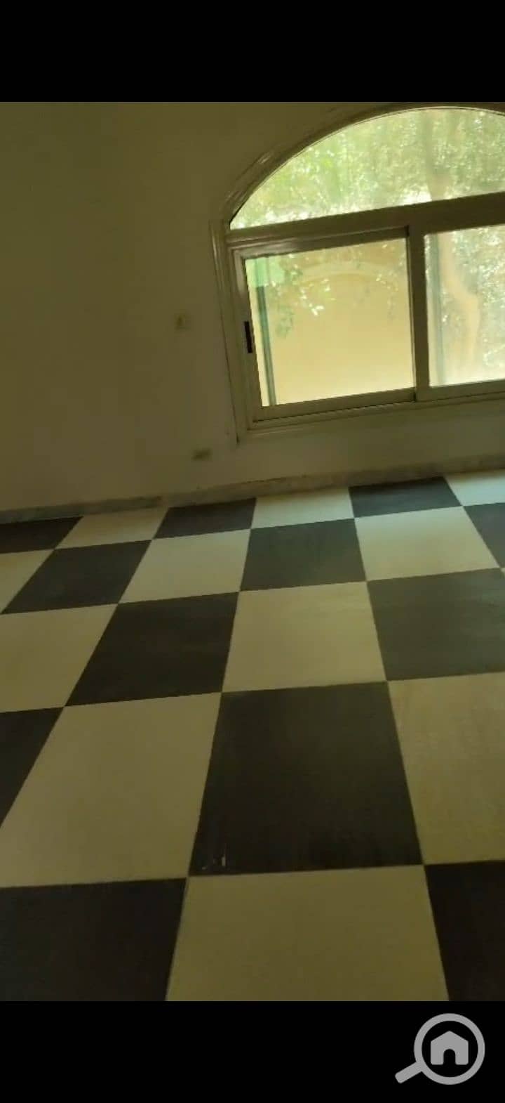 8 225612. jpg