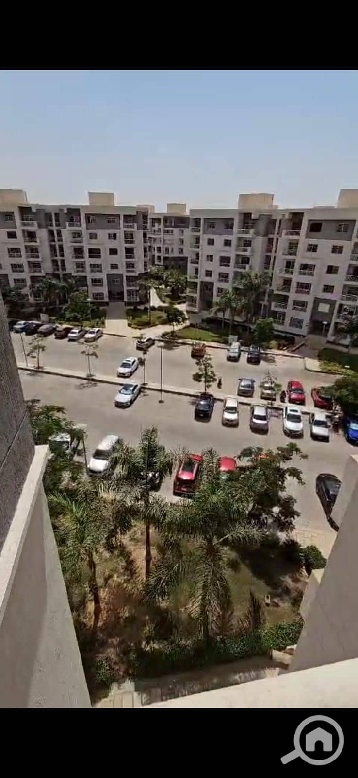 3 1000954160. jpg